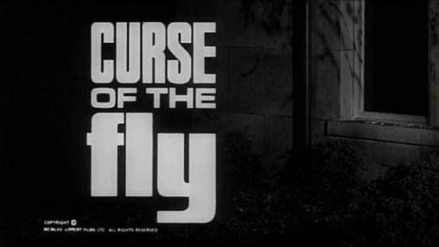 Curse of the Fly (1965)